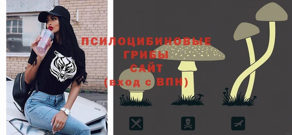 дживик Аркадак