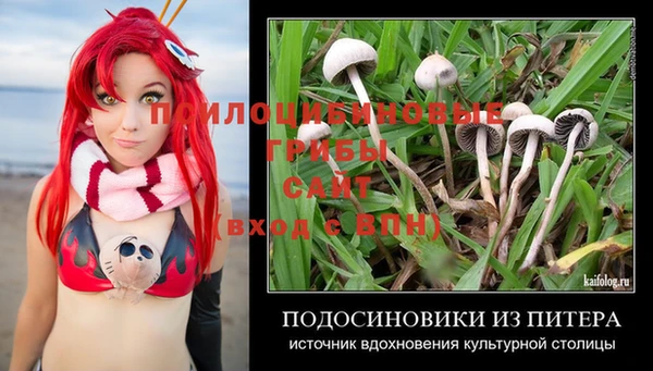 спиды Арсеньев
